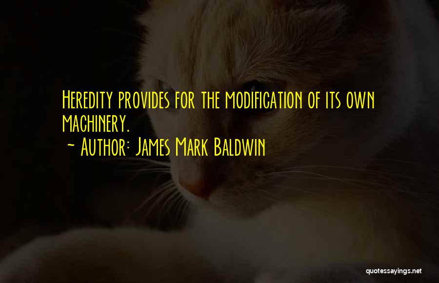James Mark Baldwin Quotes 890047