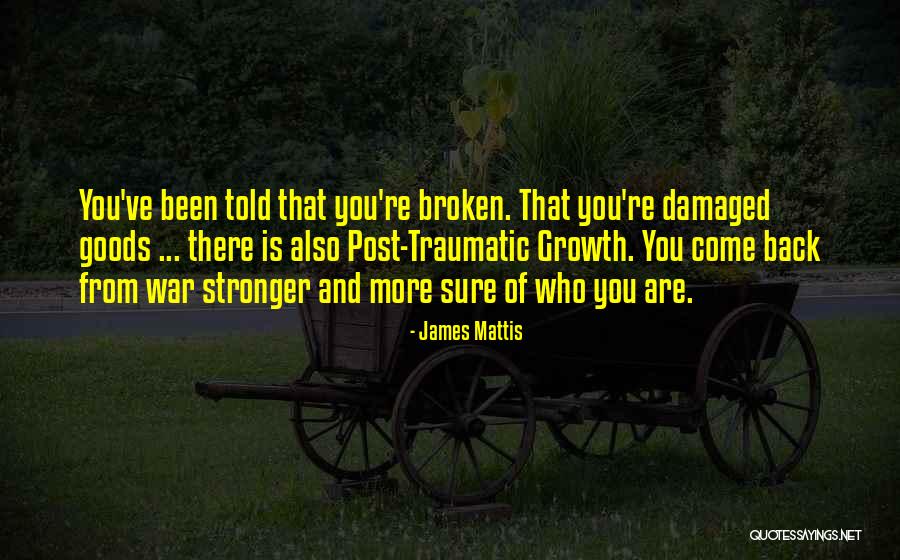 James Mattis Quotes 376241