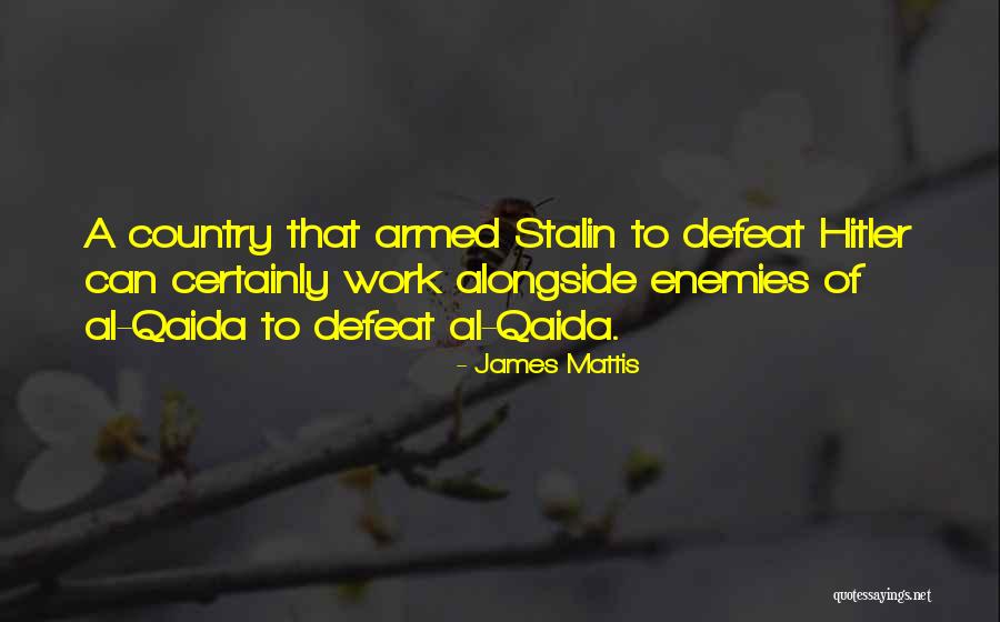 James Mattis Quotes 581051