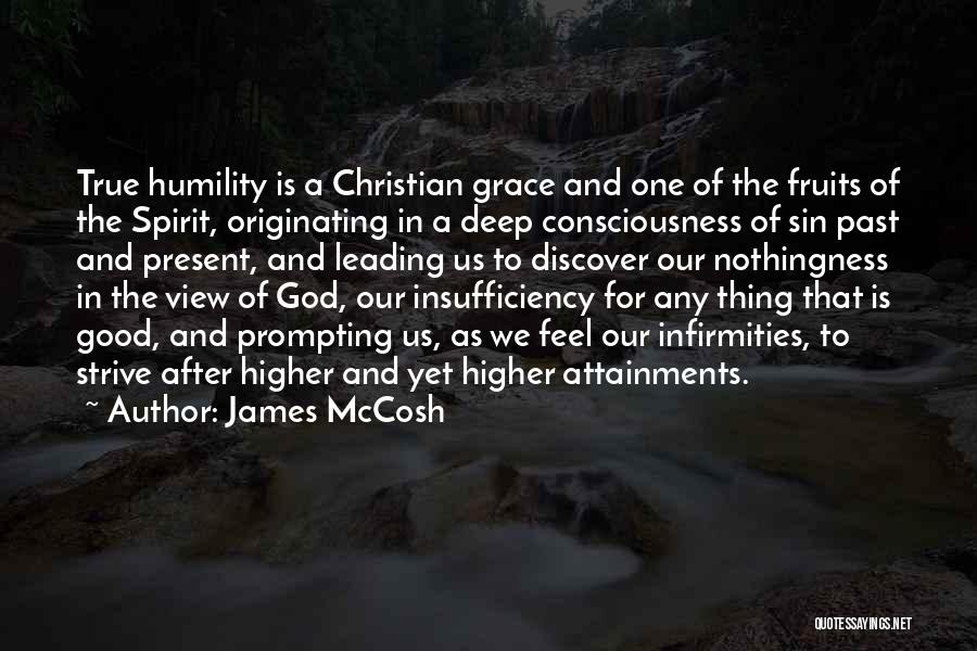 James McCosh Quotes 1948290