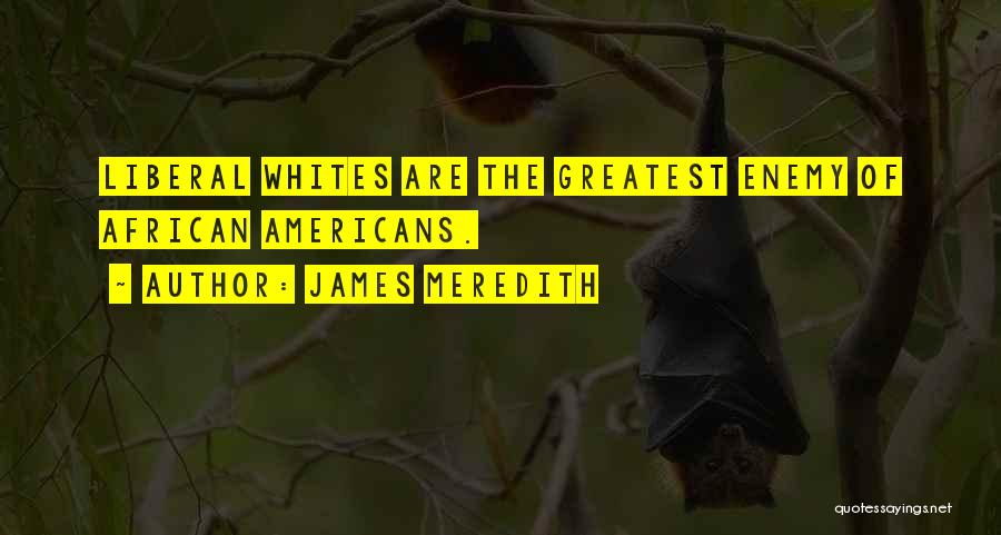 James Meredith Quotes 1458204