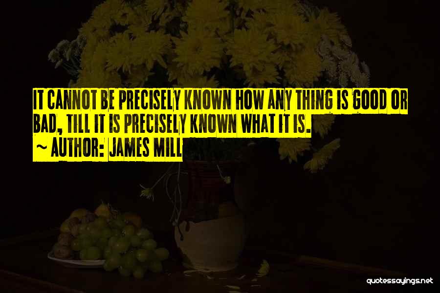 James Mill Quotes 1870798