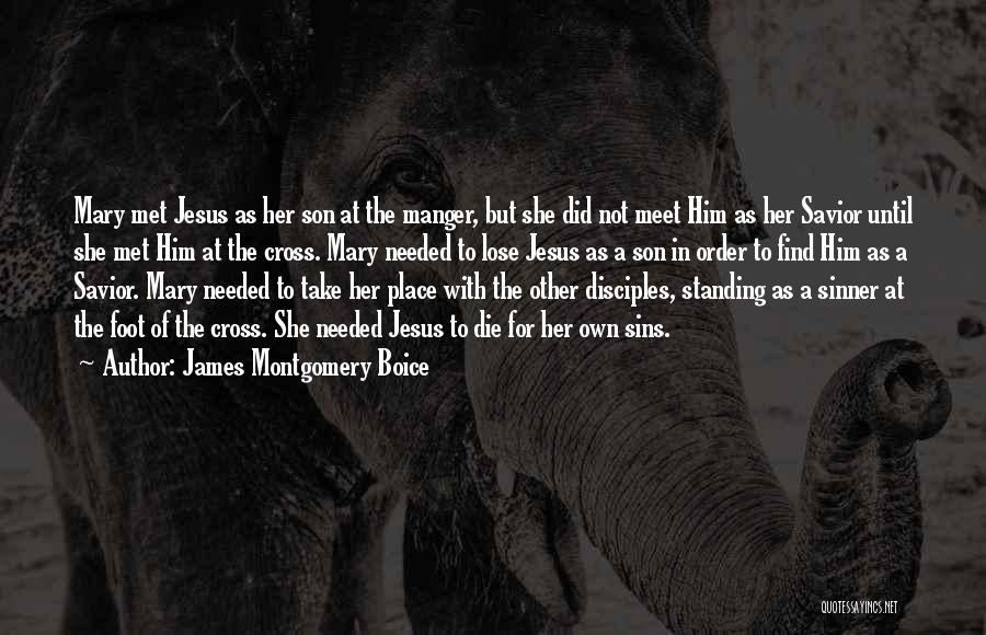 James Montgomery Boice Quotes 1622768