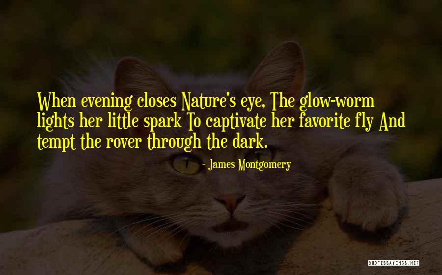 James Montgomery Quotes 1452215