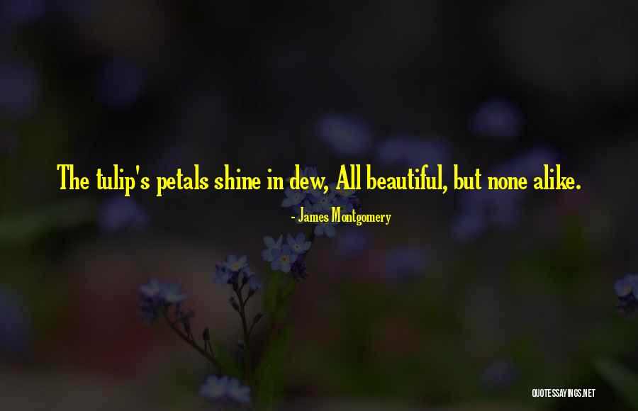 James Montgomery Quotes 645119 James Montgomery Quotes 645119