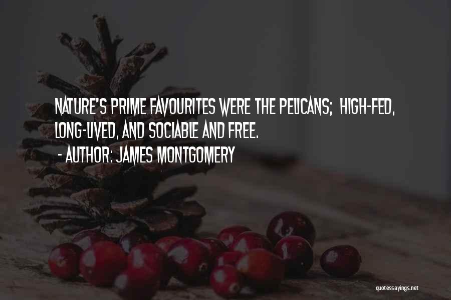 James Montgomery Quotes 680082