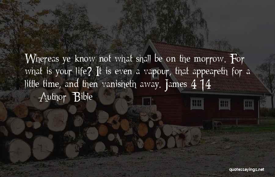 James Morrow Quotes By Bible