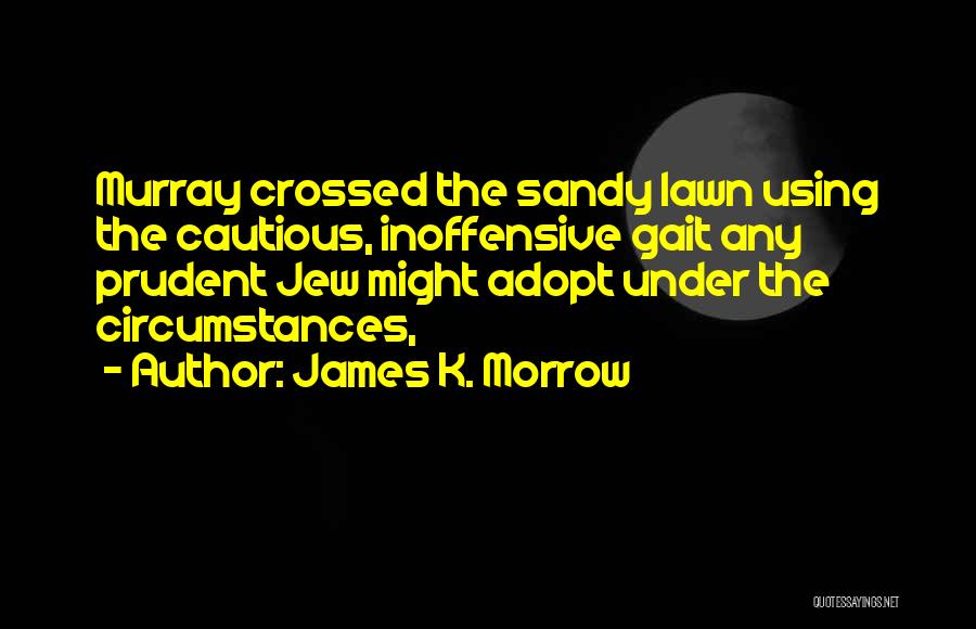 James Morrow Quotes By James K. Morrow