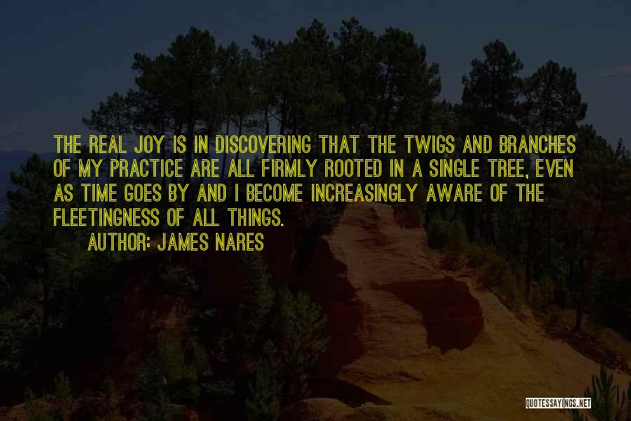 James Nares Quotes 720766