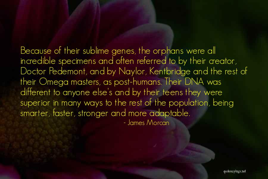 James Naylor Quotes By James Morcan James Naylor Quotes By James Morcan