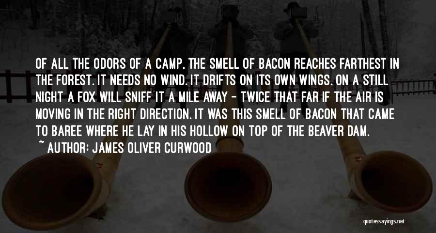 James Oliver Curwood Quotes 1086356