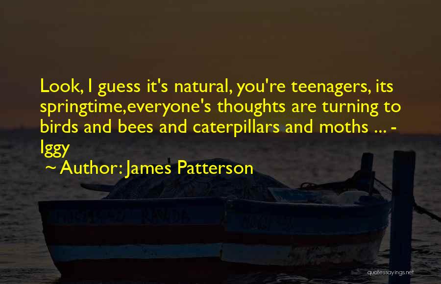 James Patterson Quotes 2072871