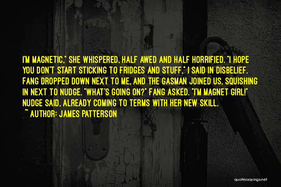 James Patterson Quotes 2073539