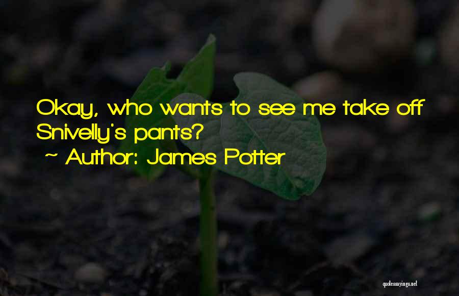 James Potter Quotes 1055172