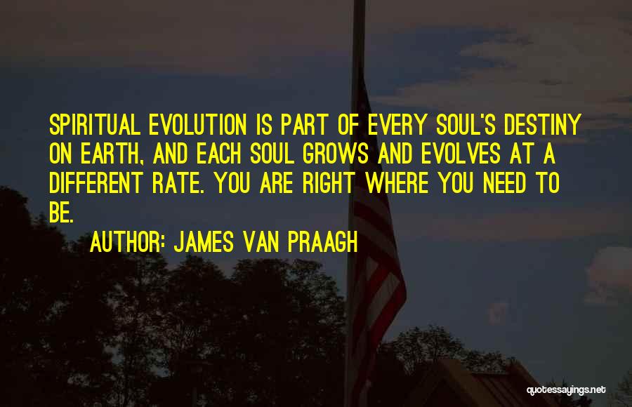 James Praagh Quotes By James Van Praagh