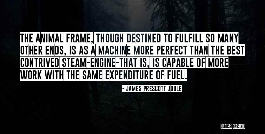 James Prescott Joule Quotes 916791