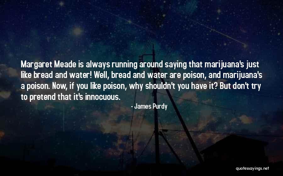 James Purdy Quotes 1385783