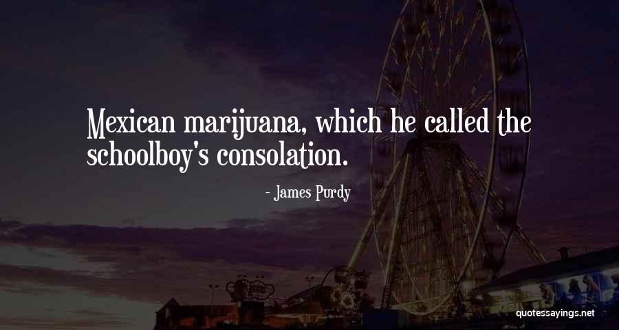 James Purdy Quotes 548295