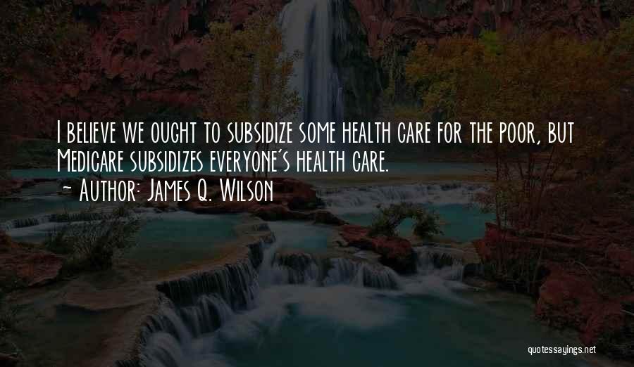 James Q. Wilson Quotes 1802378