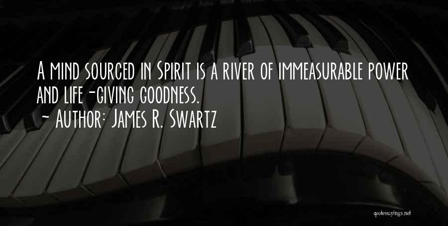 James R. Swartz Quotes 456871