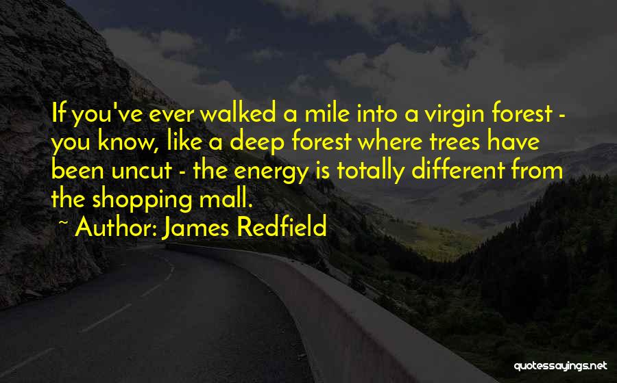 James Redfield Quotes 1206463