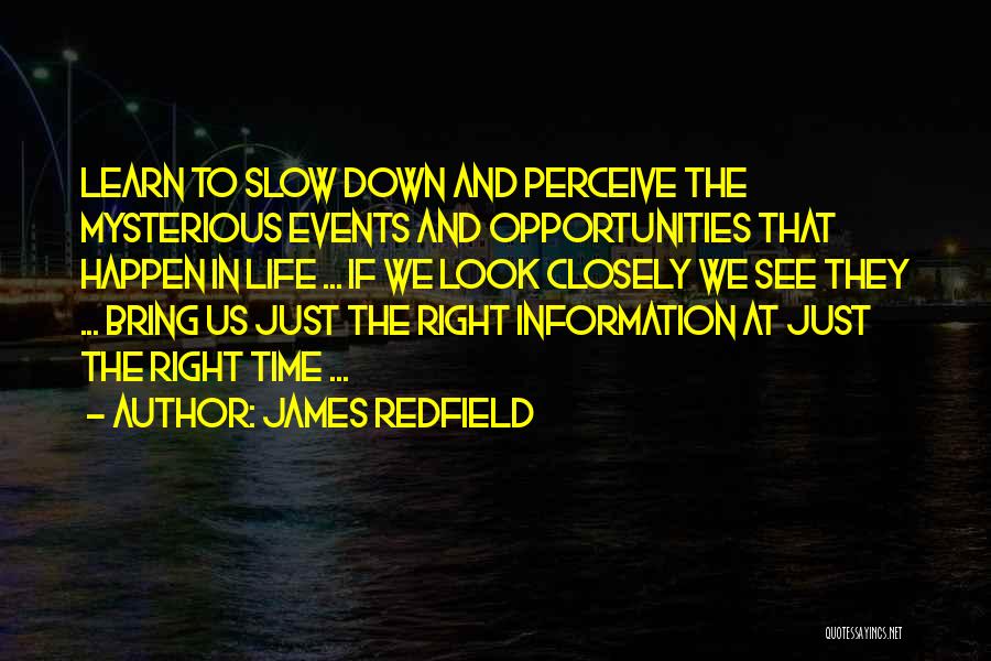 James Redfield Quotes 144513