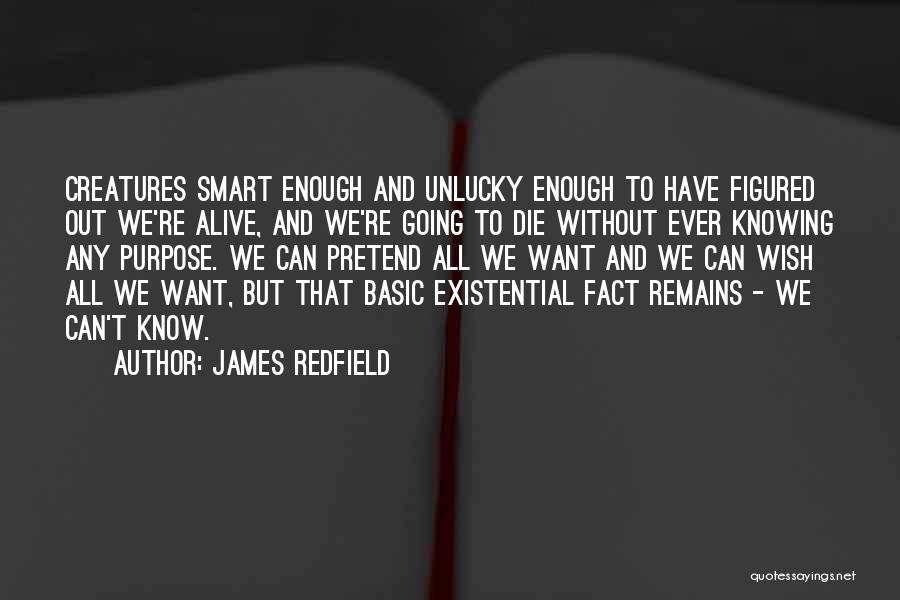 James Redfield Quotes 986154