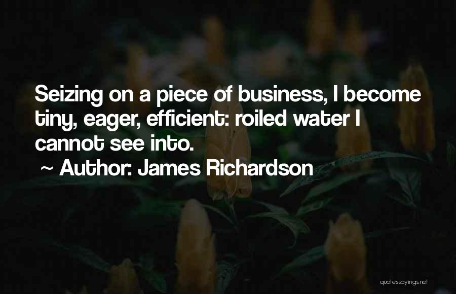 James Richardson Quotes 751656