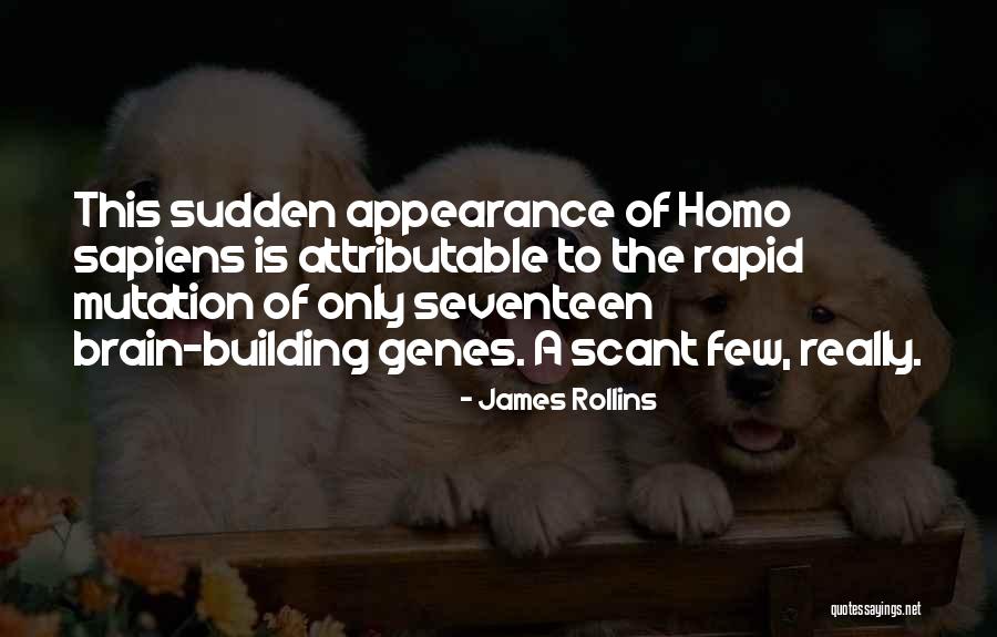 James Rollins Quotes 651833