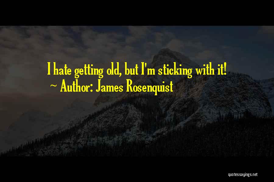 James Rosenquist Quotes 2178022