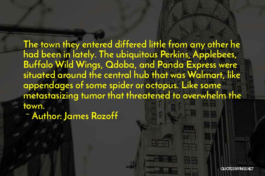 James Rozoff Quotes 1420796
