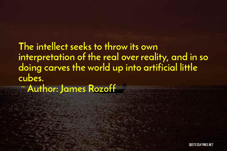 James Rozoff Quotes 223038