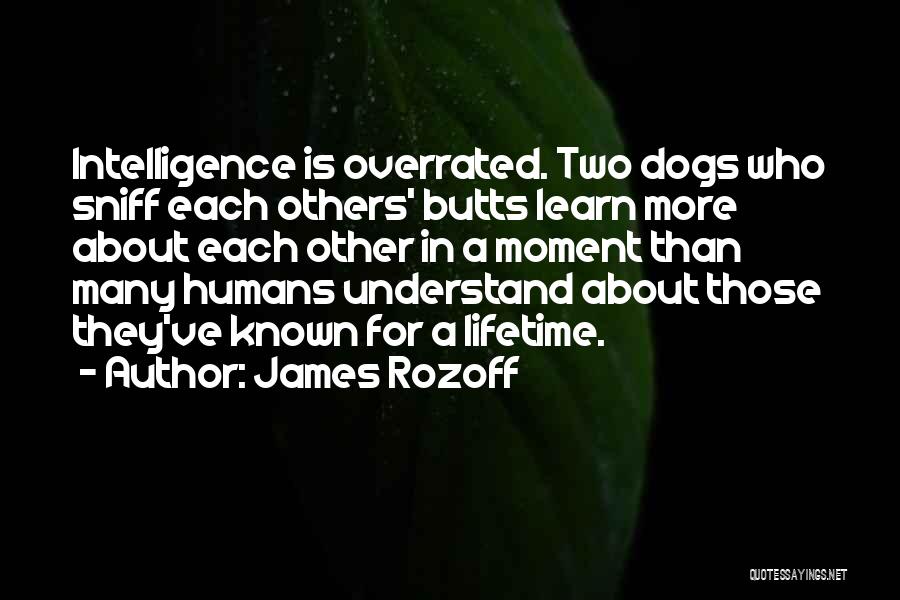 James Rozoff Quotes 2251089