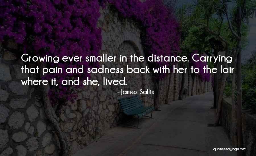 James Sallis Quotes 1550583