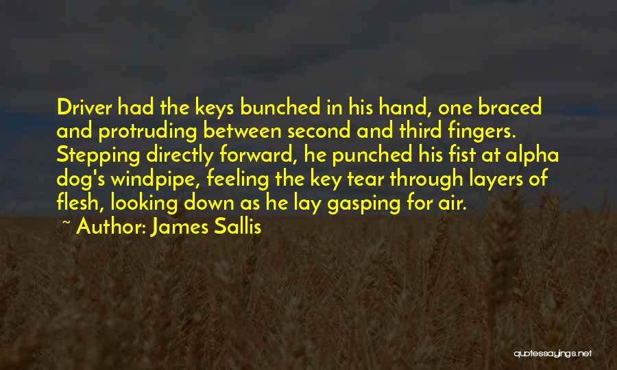 James Sallis Quotes 1778438