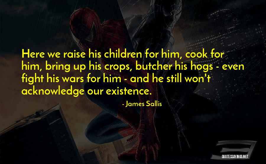 James Sallis Quotes 2223078