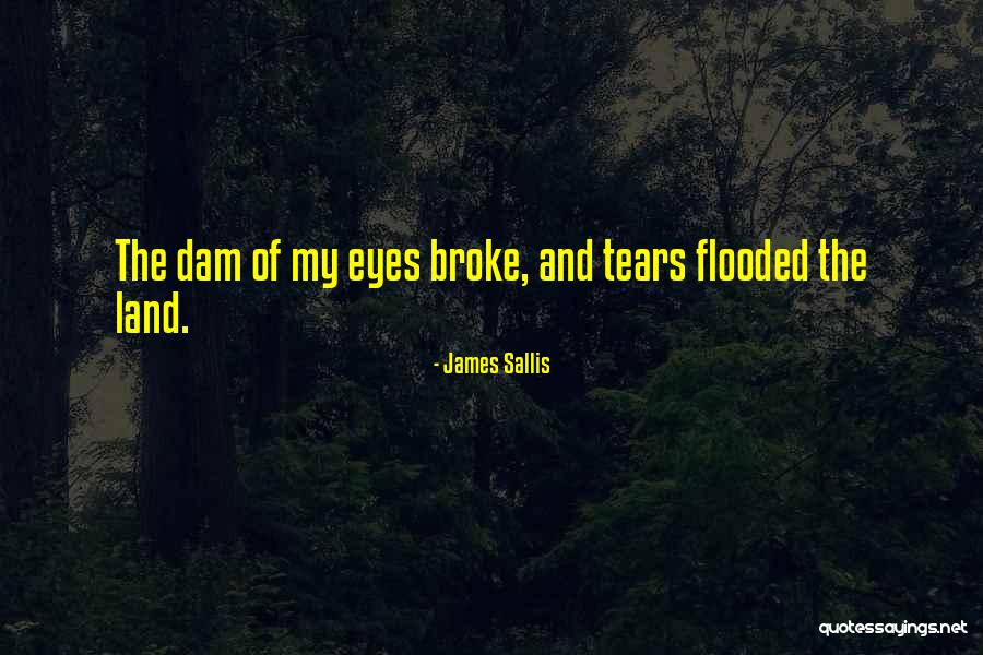 James Sallis Quotes 720144