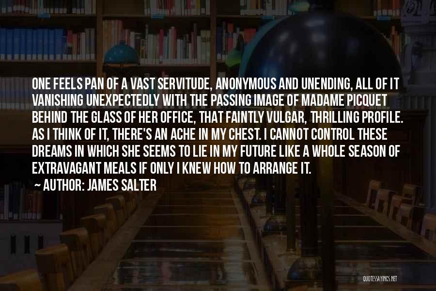 James Salter Quotes 113682