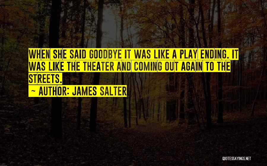 James Salter Quotes 1212123