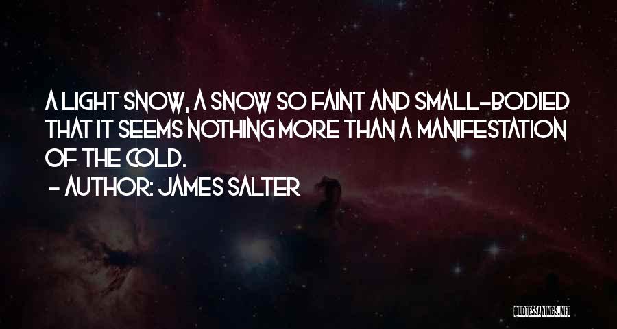 James Salter Quotes 1456008