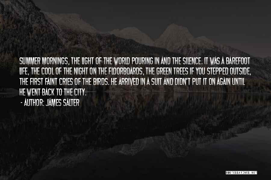 James Salter Quotes 1507592
