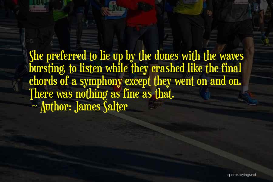James Salter Quotes 162939
