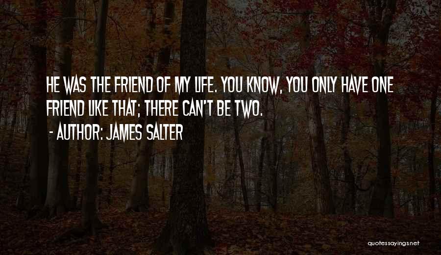 James Salter Quotes 1698142