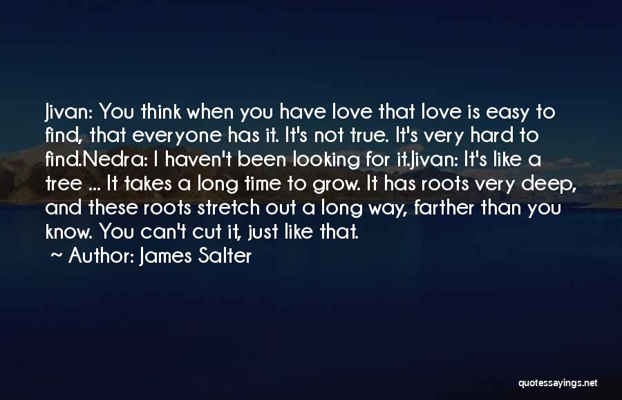 James Salter Quotes 183412