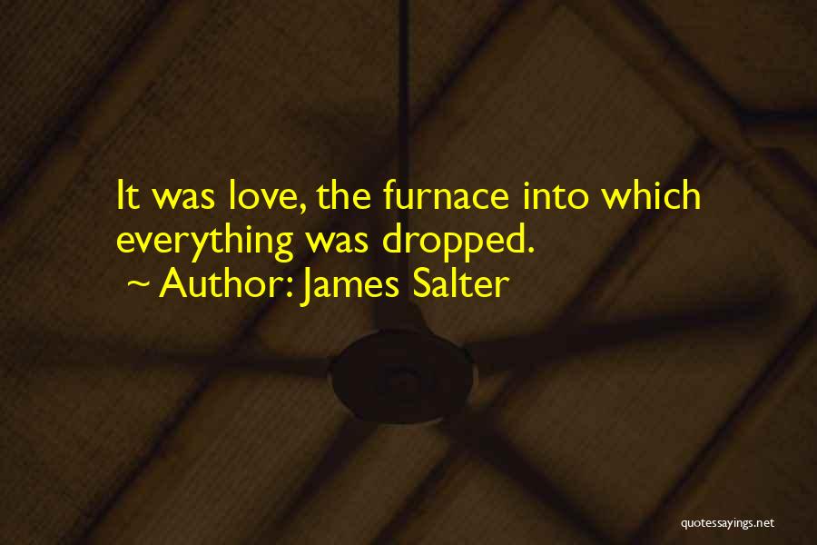 James Salter Quotes 2016393