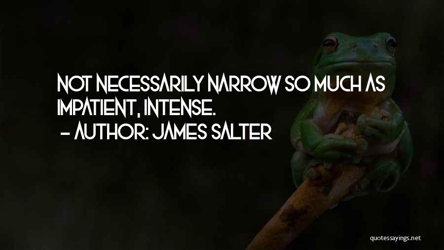 James Salter Quotes 2043092