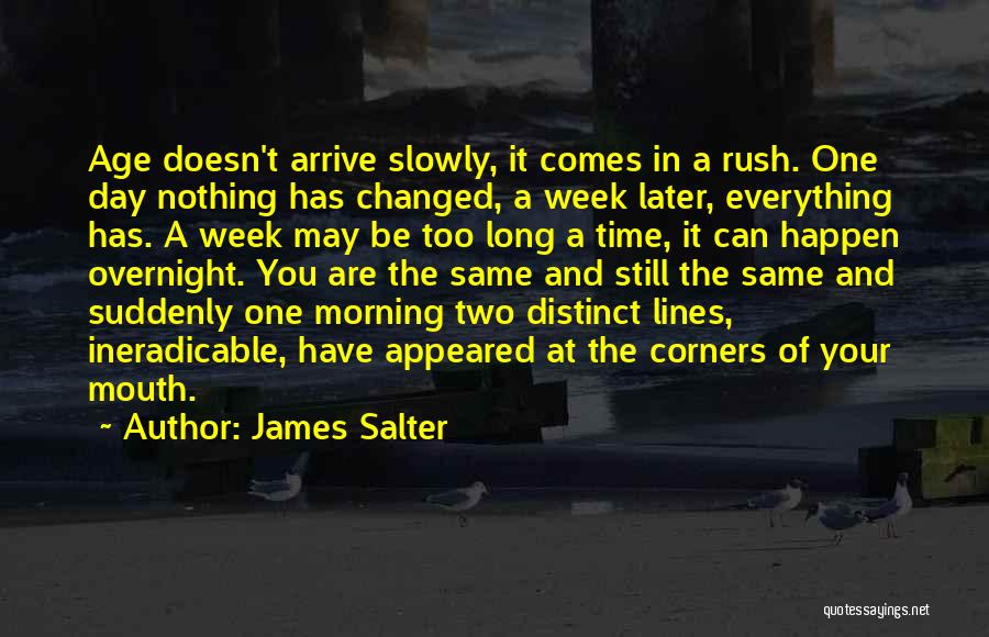 James Salter Quotes 2055159