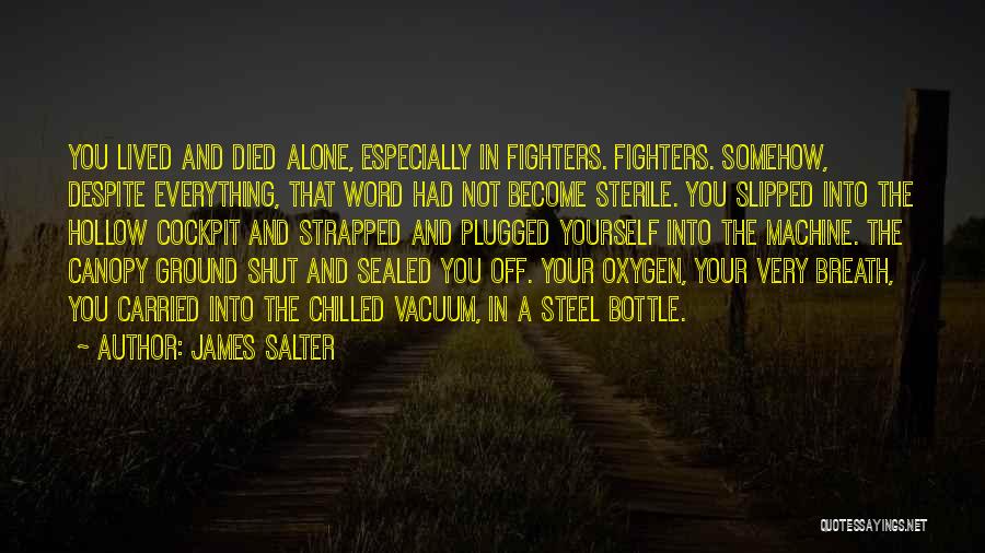 James Salter Quotes 2207695