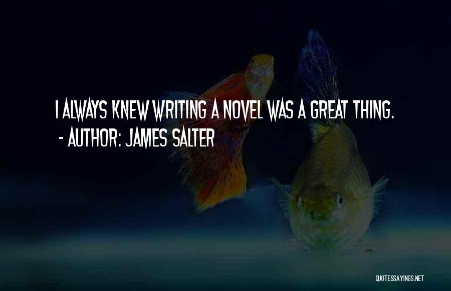 James Salter Quotes 325230
