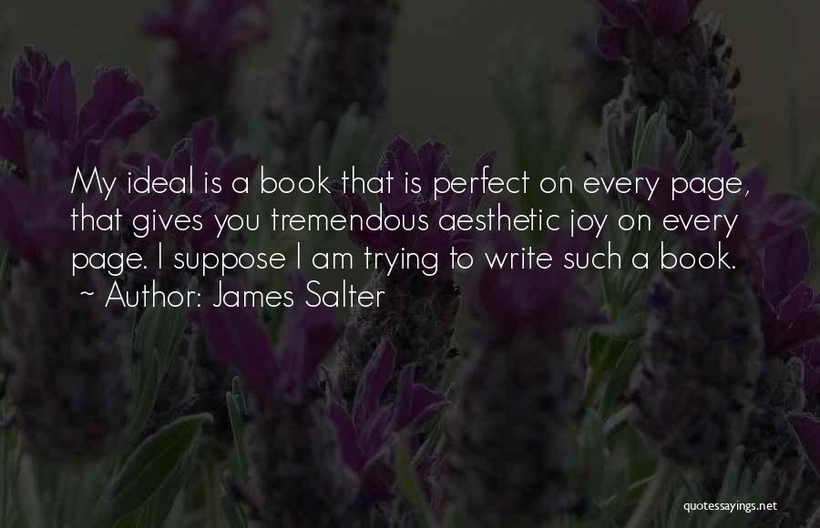 James Salter Quotes 462346